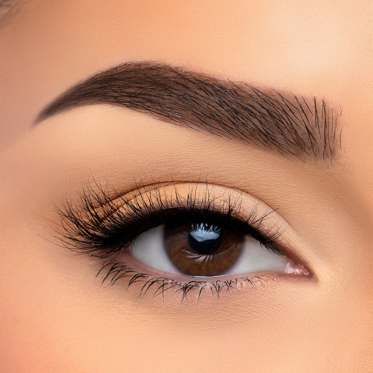 BEAUTY CREATIONS - VISÓN SINTÉTICO 3D CON PESTAÑAS CASUAL (CAJA DE 10 PIEZAS)