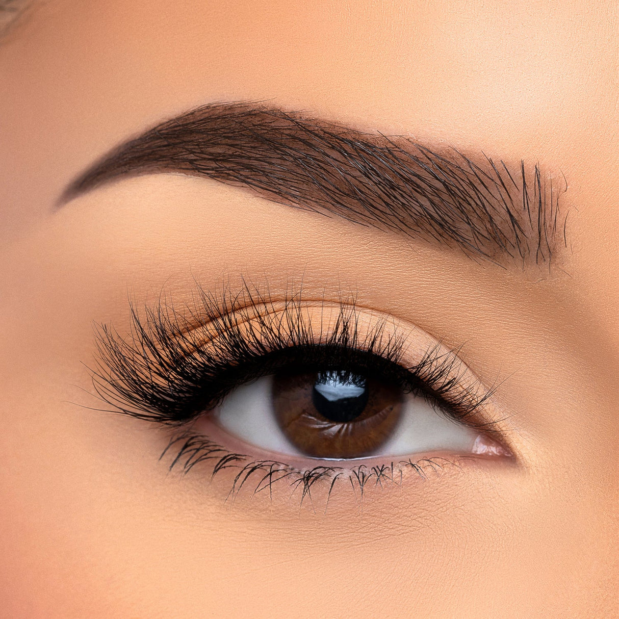 BEAUTY CREATIONS - VISÓN SINTÉTICO 3D CON PESTAÑAS CASUAL (CAJA DE 10 PIEZAS)
