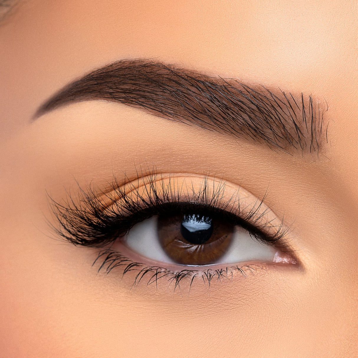 BEAUTY CREATIONS - VISÓN SINTÉTICO 3D CON PESTAÑAS CASUAL (CAJA DE 10 PIEZAS)