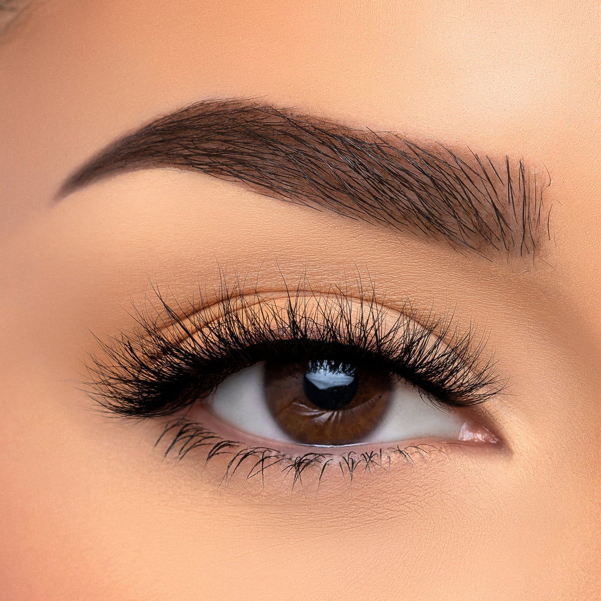 BEAUTY CREATIONS - VISÓN SINTÉTICO 3D CON PESTAÑAS CASUAL (CAJA DE 10 PIEZAS)