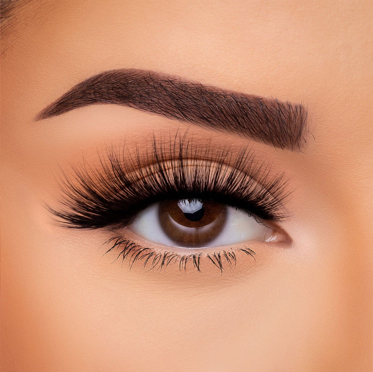 BEAUTY CREATIONS - SOIE 3D