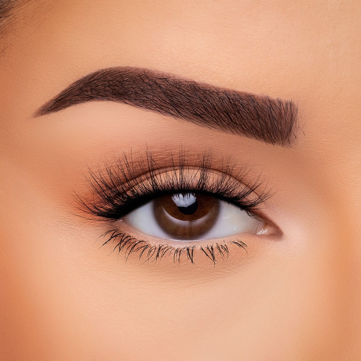 BEAUTY CREATIONS - FAUX VISON 3D-