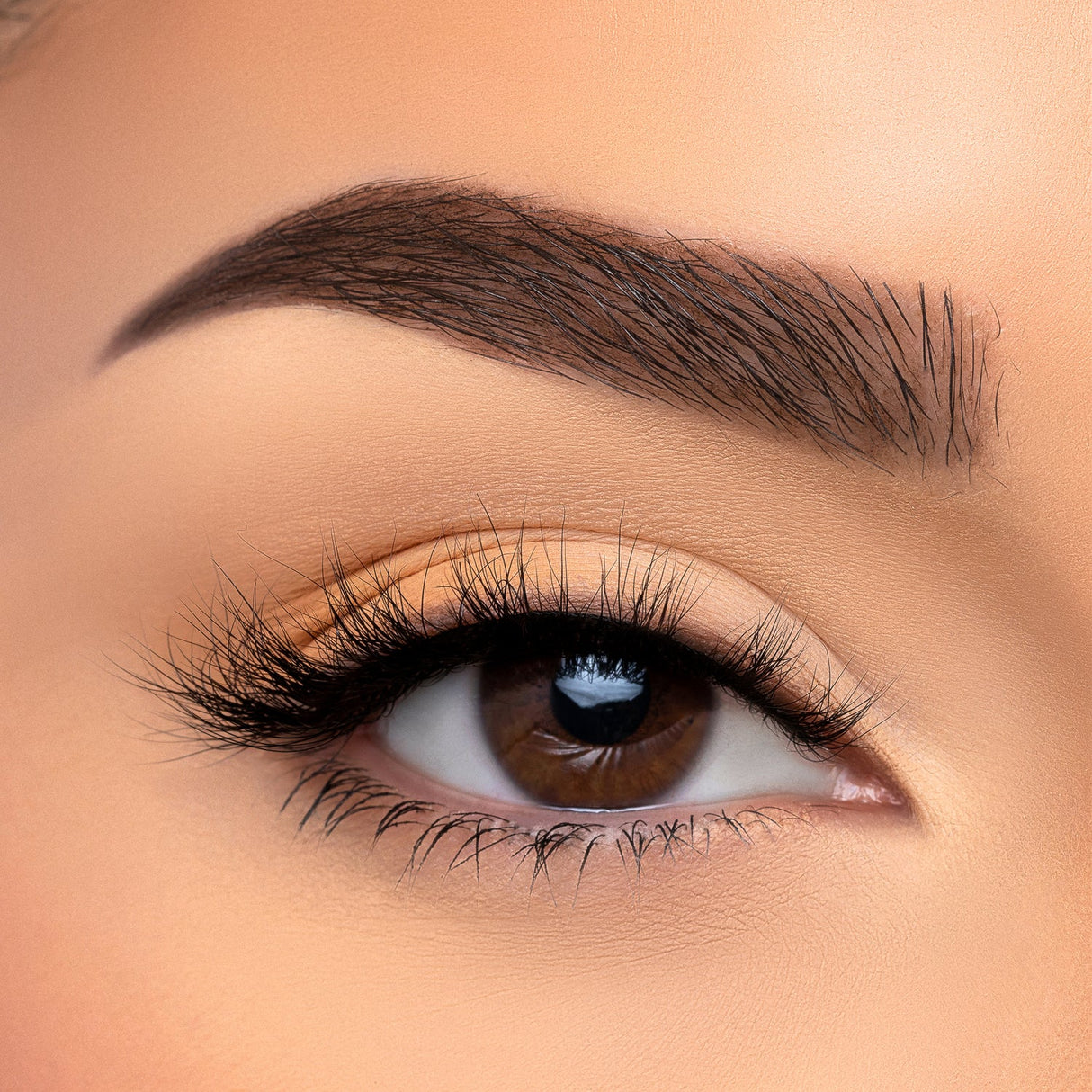 BEAUTY CREATIONS - VISÓN SINTÉTICO 3D CON PESTAÑAS CASUAL (CAJA DE 10 PIEZAS)