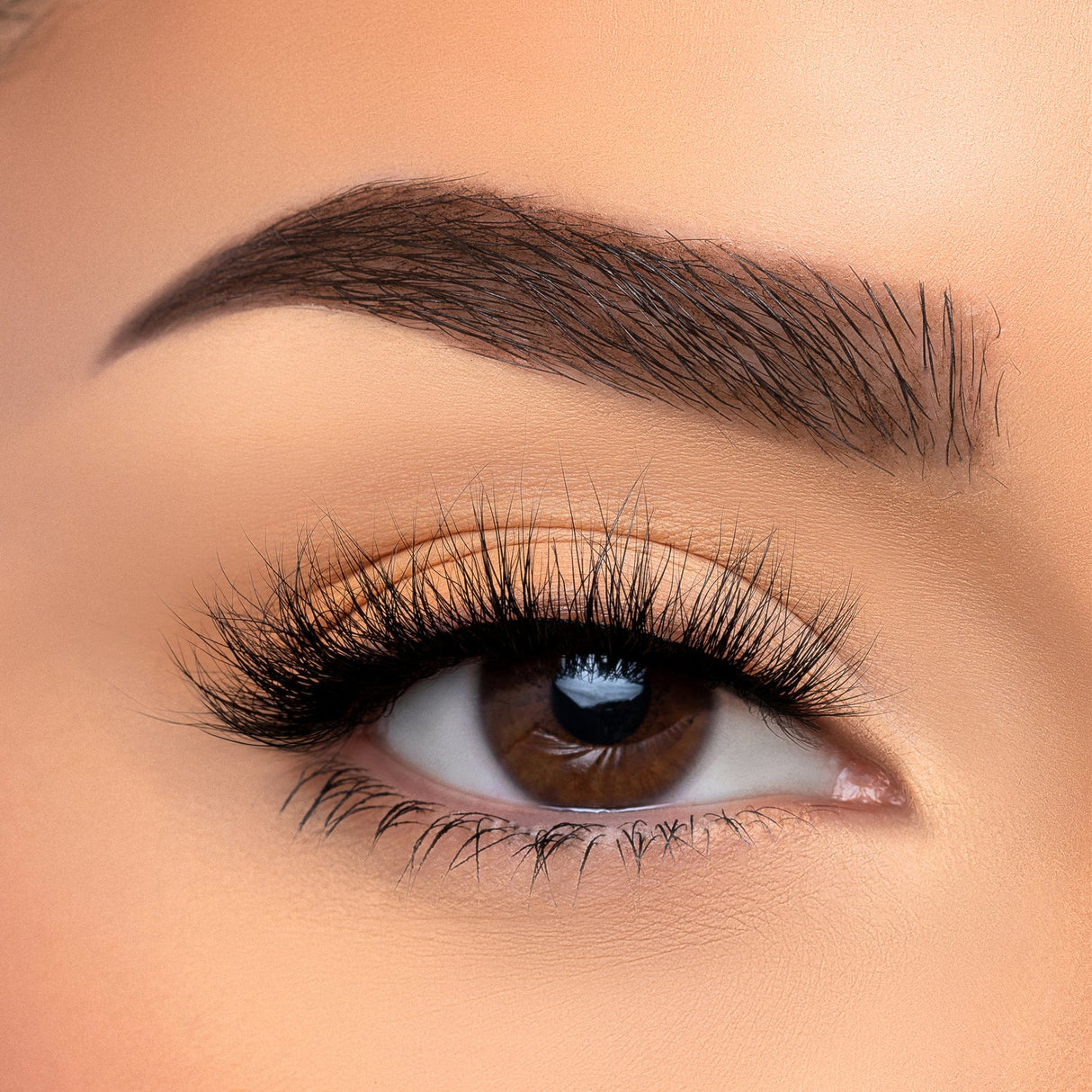BEAUTY CREATIONS - VISÓN SINTÉTICO 3D CON PESTAÑAS CASUAL (CAJA DE 10 PIEZAS)