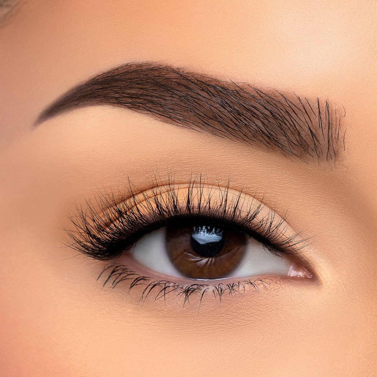 BEAUTY CREATIONS - VISÓN SINTÉTICO 3D CON PESTAÑAS CASUAL (CAJA DE 10 PIEZAS)
