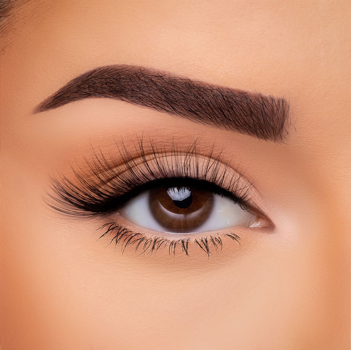 BEAUTY CREATIONS - SOIE 3D