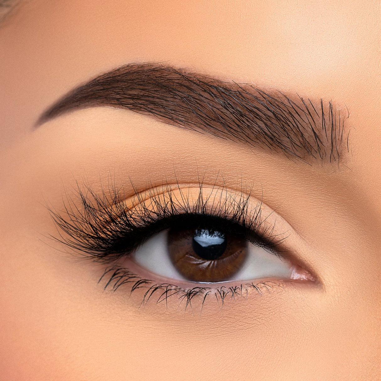 BEAUTY CREATIONS - VISÓN SINTÉTICO 3D CON PESTAÑAS CASUAL (CAJA DE 10 PIEZAS)