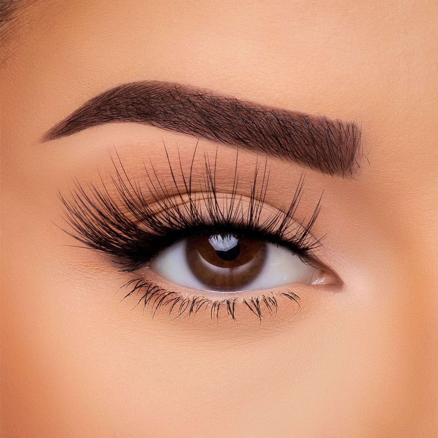 Shopcosmeticsandmore